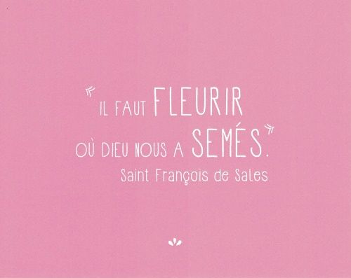 Il faut fleurir...
