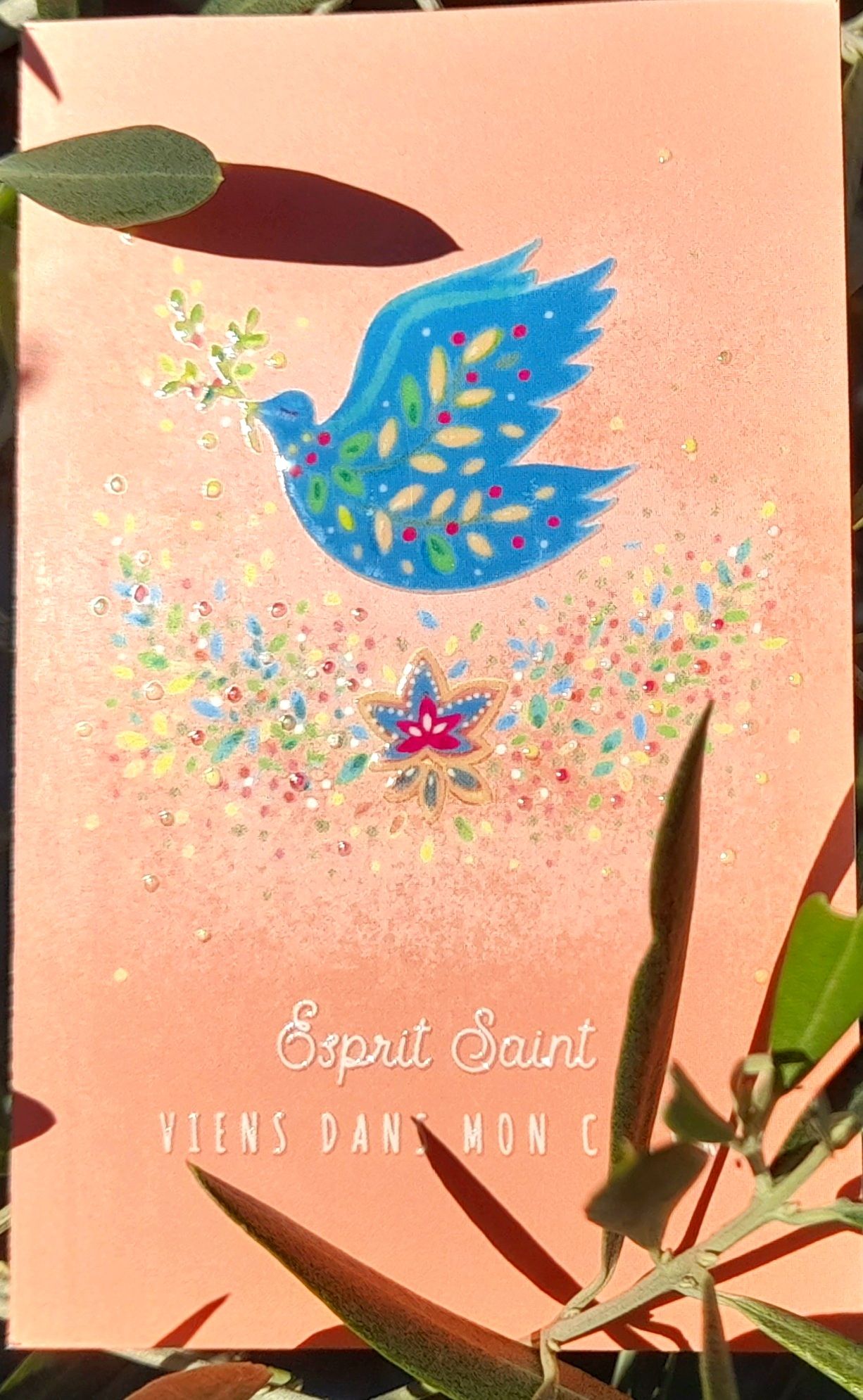 Image de baptême ; communin ; profession de foi et confirmation colombe et croix