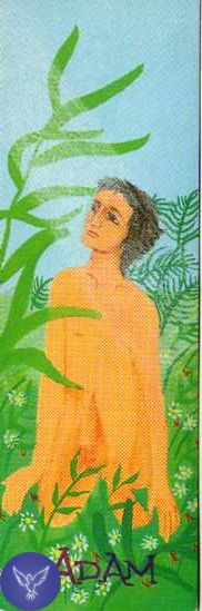 Adam