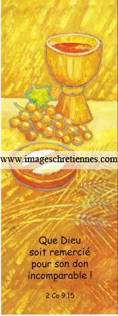 Maïte Roche - ICA-s-MR 018