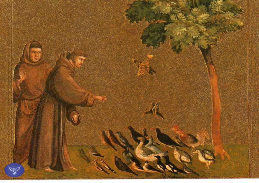 François St prêchant aux oiseaux b17