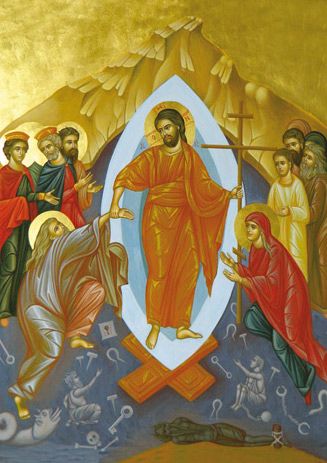 Juliana Negru - ICA-cp-IN 001