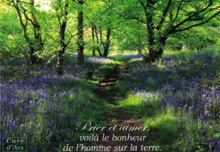 Carte postale  citation du Saint Curé d’Ars : Prier et aimer