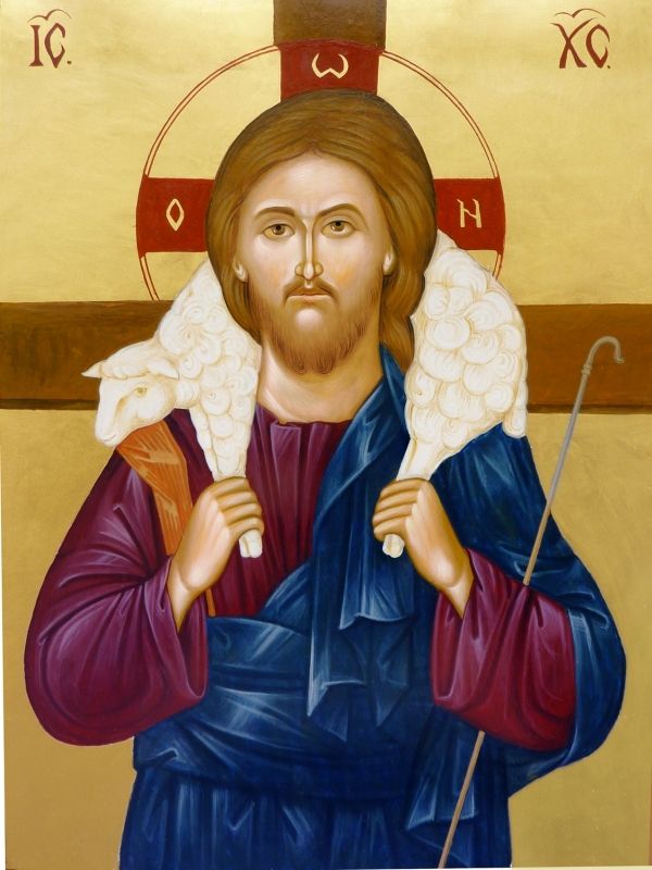 Juliana Negru - ICA-cp-IN 005