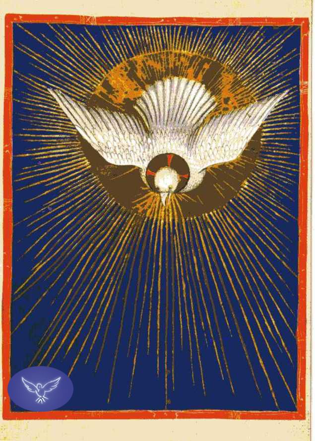 Colombe Saint Esprit