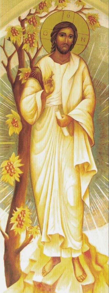 Image de Jésus ressuscité