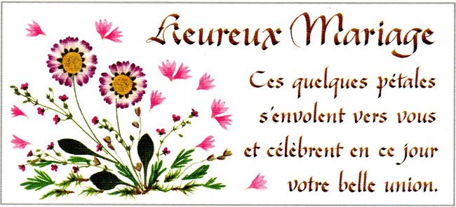 Carte de félicitations mariage