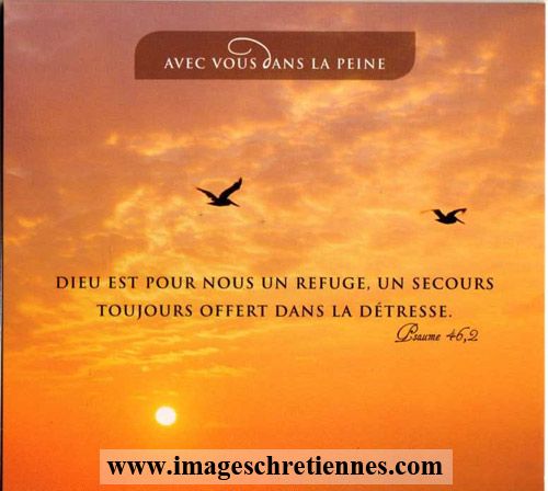 Sincères Condoléances N°2