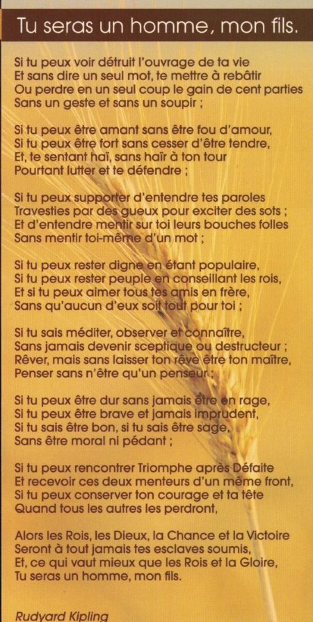 Tu seras un homme mon fils : Carte postale