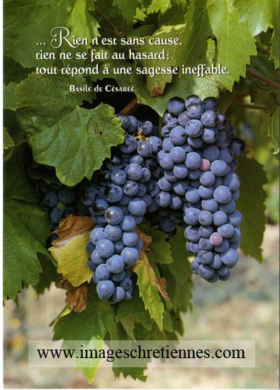 La providence de Dieu