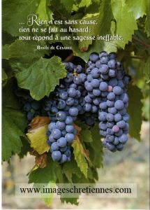 La providence de Dieu