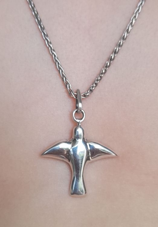 Colombe argent envol