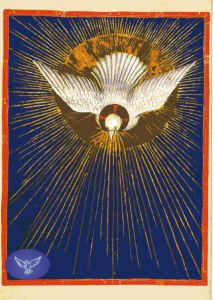 Colombe Saint Esprit