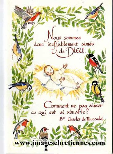 Carte de Noël oiseaux
