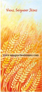 Signet première communion