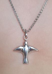 Colombe argent envol