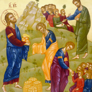 Juliana Negru - ICA-cp-IN 002