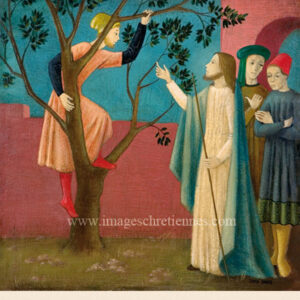 Bradi Barth - ICA-i-BB 004