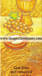 Maïte Roche - ICA-s-MR 018