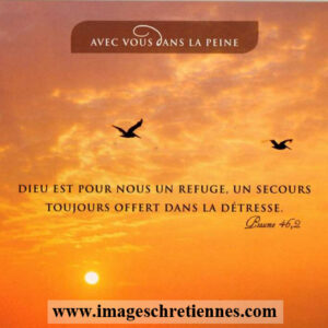 Sincères Condoléances N°2