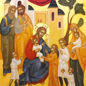 Juliana Negru - ICA-cp-IN 006