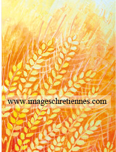 Signet première communion